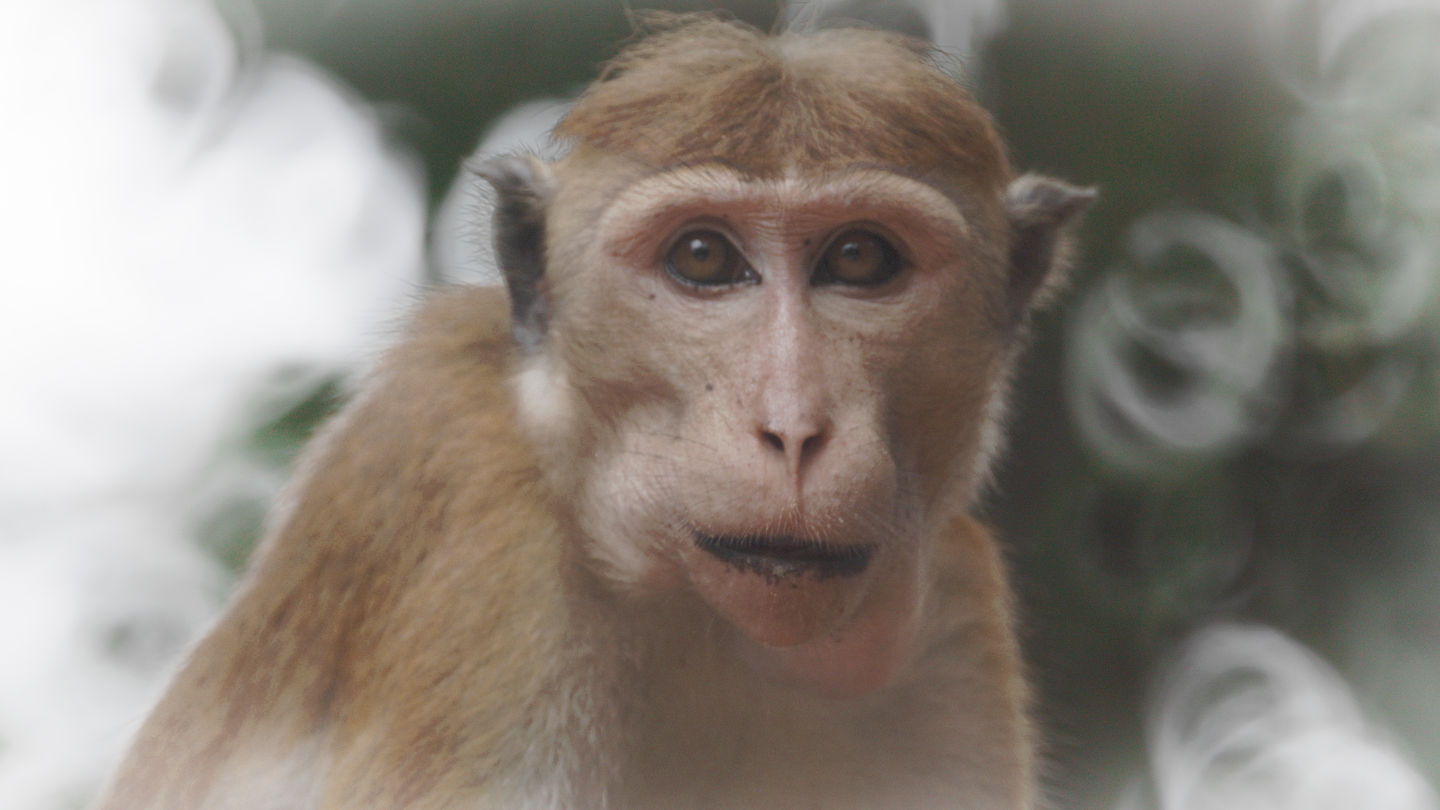 Taking a new LinkedIn Profile Picture