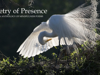 Poetry of Presence