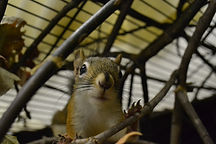 DSC_0353.JPG
