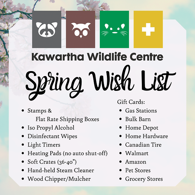 Spring Wish List (1).png