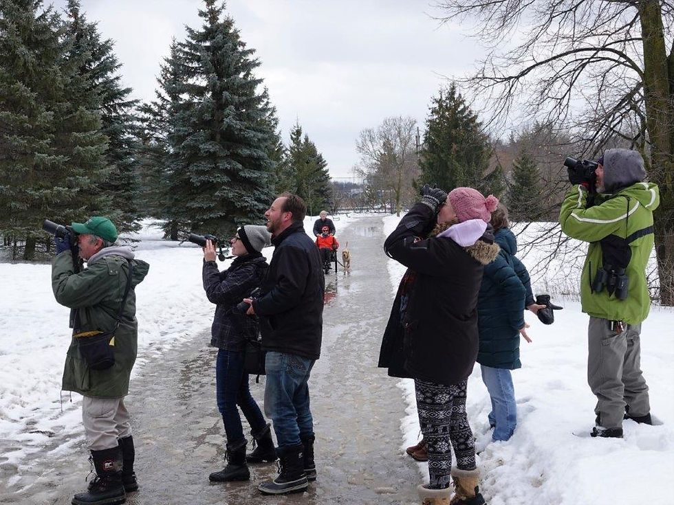 Birding: Getting Started