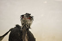 DSC_0253_edited.jpg