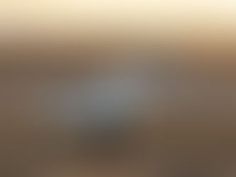 ‘World’s first true hybrid propulsion’ for drones eyed by Elbit with new pact