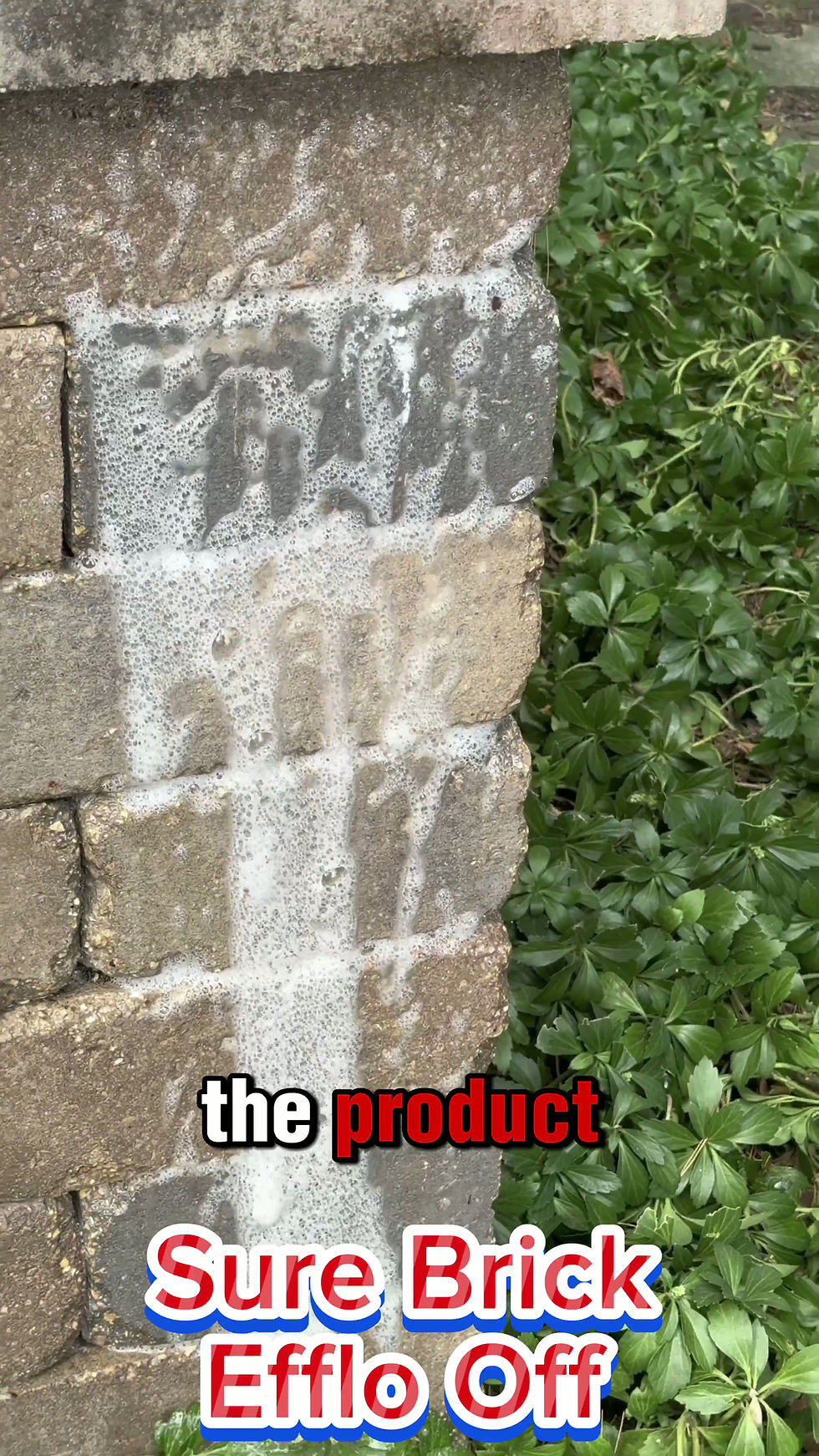 Thumbnail: 4 (1- gallon) case Efflo Off
