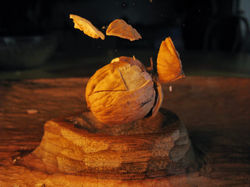 Expo - Mouvement - (2)