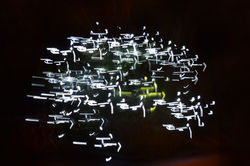 Beatrice Germain - BAG_4215 1