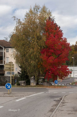 Monique - Pont de Beauvoisin 2018-11-11.