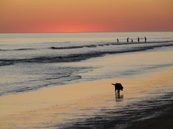 Estelle Gravoix - P1060048