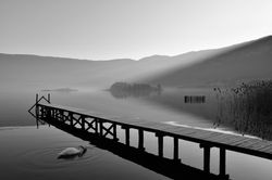 Beatrice Germain - BAG_5729 1