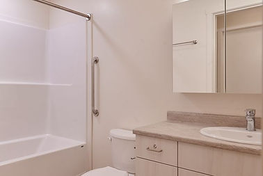 pic 7 - bathroom shot.jpeg