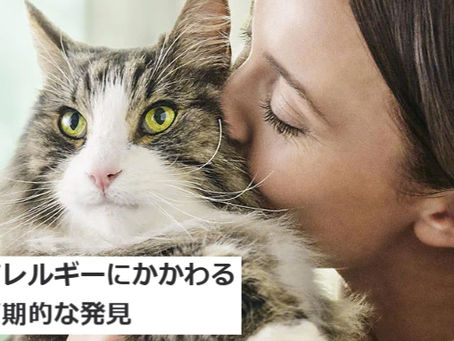 猫アレルゲンを減らす！猫アレルギーのオーナー様へ!!
