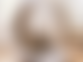 ねこちゃんの運動不足の解消に！ボンビのキャットホイール