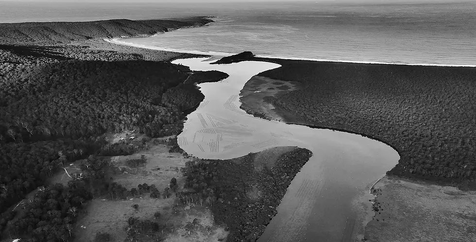 Wonboyn aerial image.webp