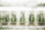 Foodtech Carousel 2