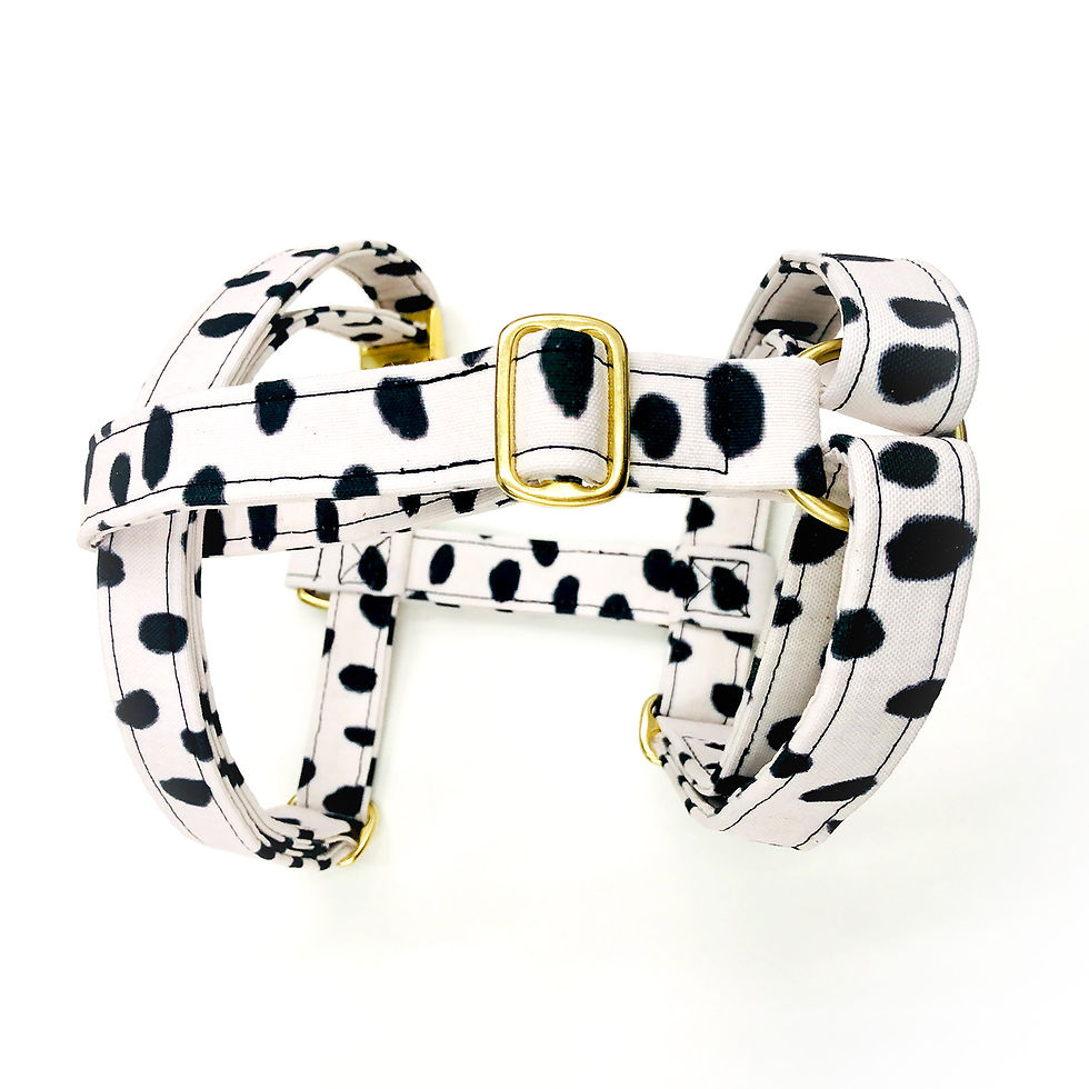 Dog Harness