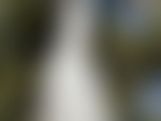 The problem with an incomplete teaching