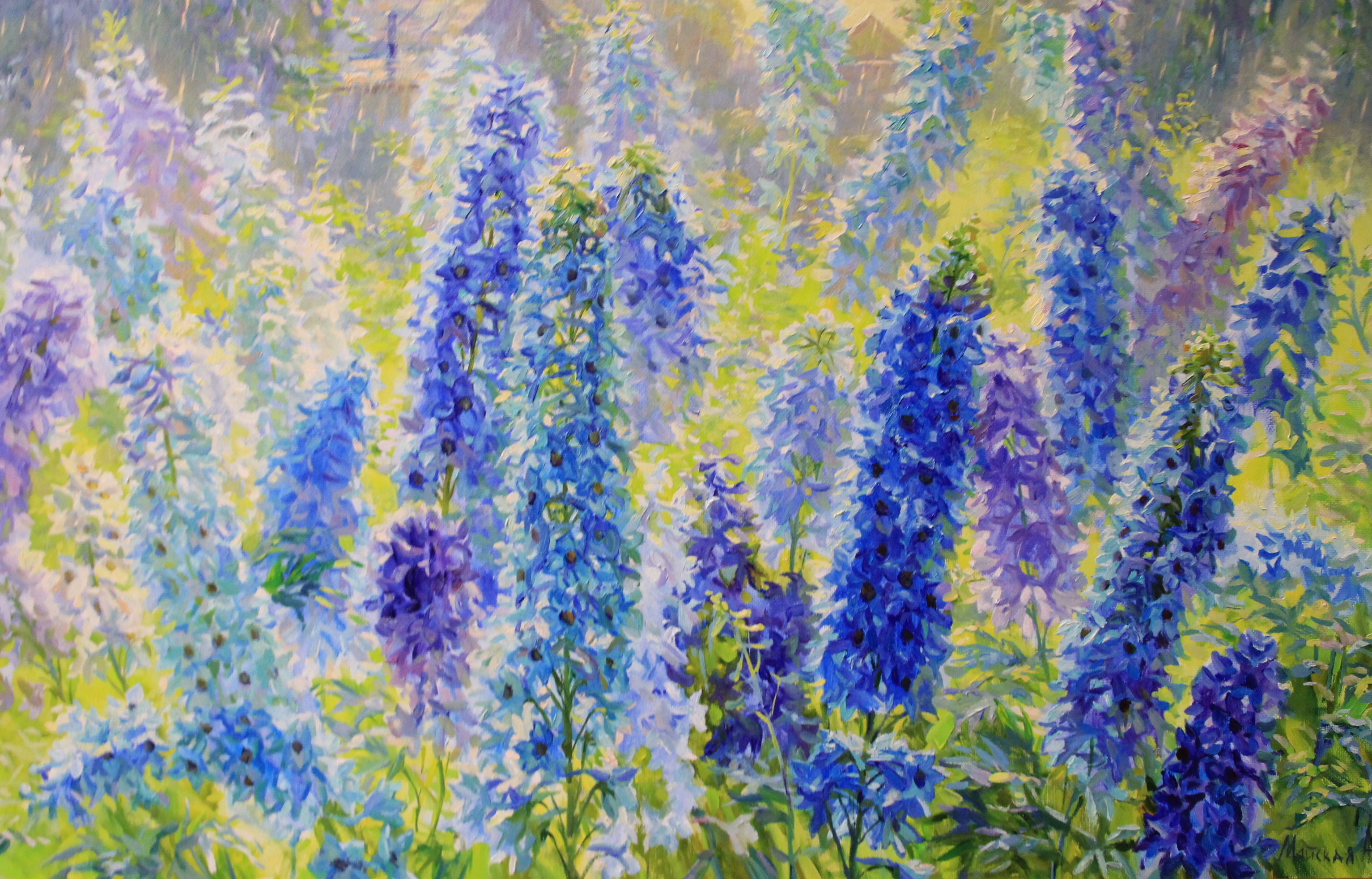 Слепой дождик