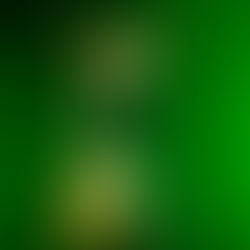 Zombie and Frankenstein Session