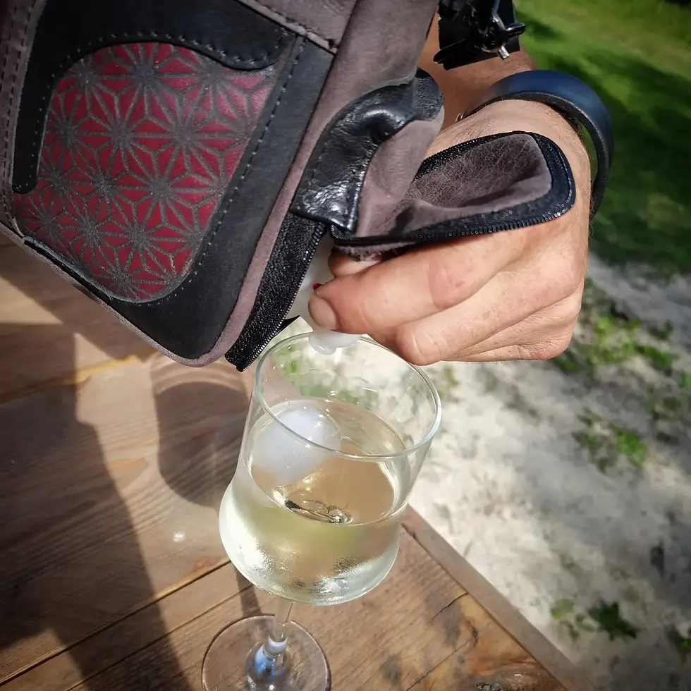 Miniature : Le cub & bag