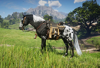 Red Dead Redemption 2 Screenshot 2026.02.07 - 17.31.21_edited.jpg