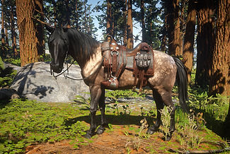 Red Dead Redemption 2 Screenshot 2026.01.31 - 14.32.20_edited.jpg