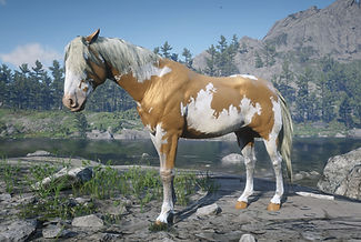 Red Dead Redemption 2 Screenshot 2025.04.29 - 18.25.13_edited.jpg