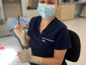 ANESTHESIA FOR PETS