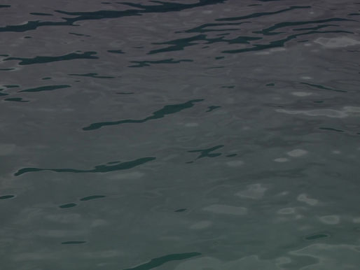 2020 Baptism Testimonies-Max