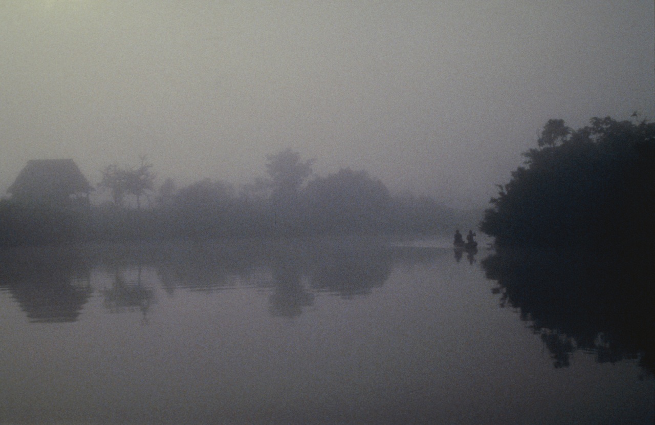 Mists of Amazon