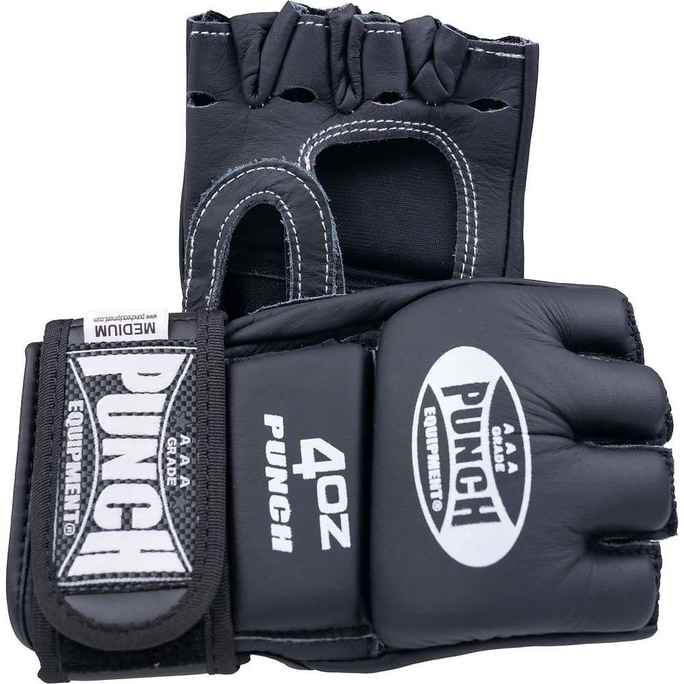 punch mma gloves.jpg