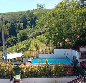 piscina.jpeg