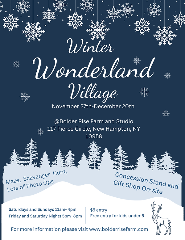 Winter Village Flyer.png