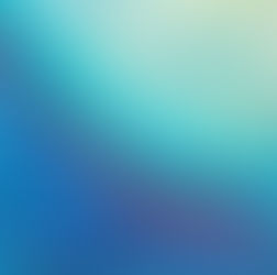 いろんな感情と光