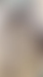 Installation collaborative au Lycée 