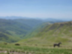 project-carpathian-balkan-day-3- (24).JP