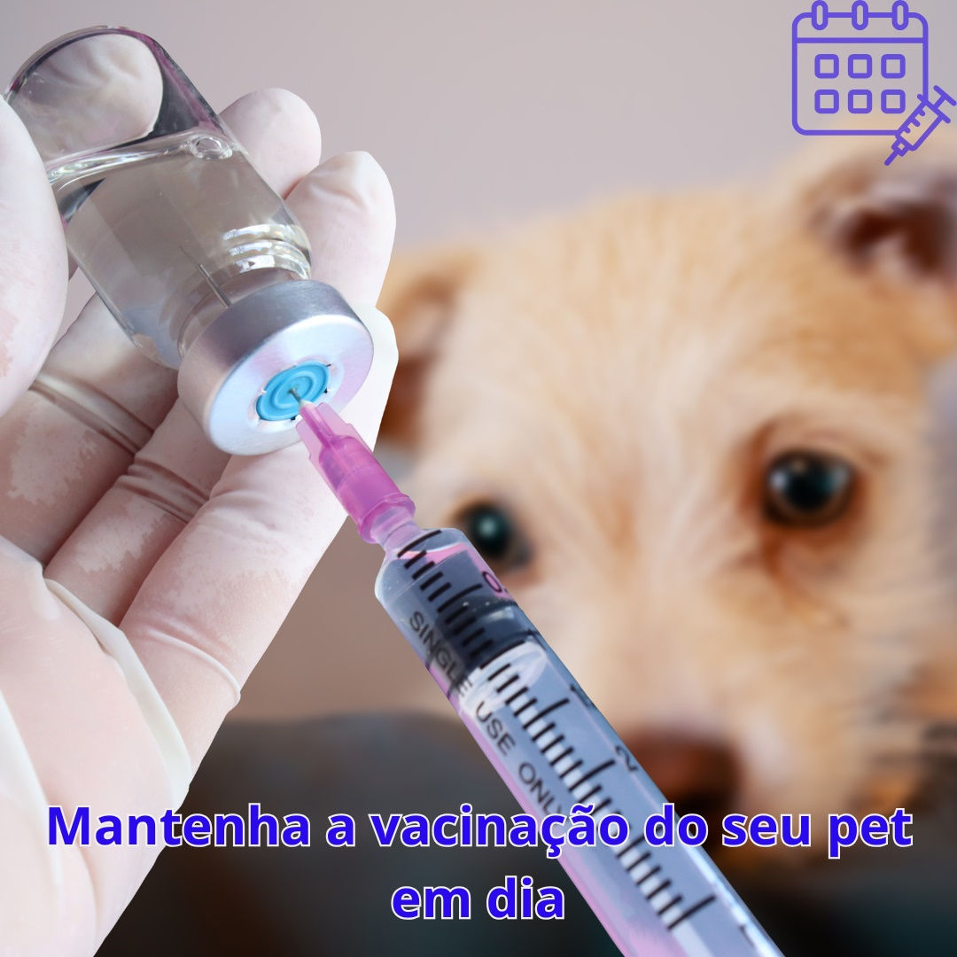 Manter a vacinação atualizada é cuidar do seu animalzinho. Confira os menos preços em vacinas.