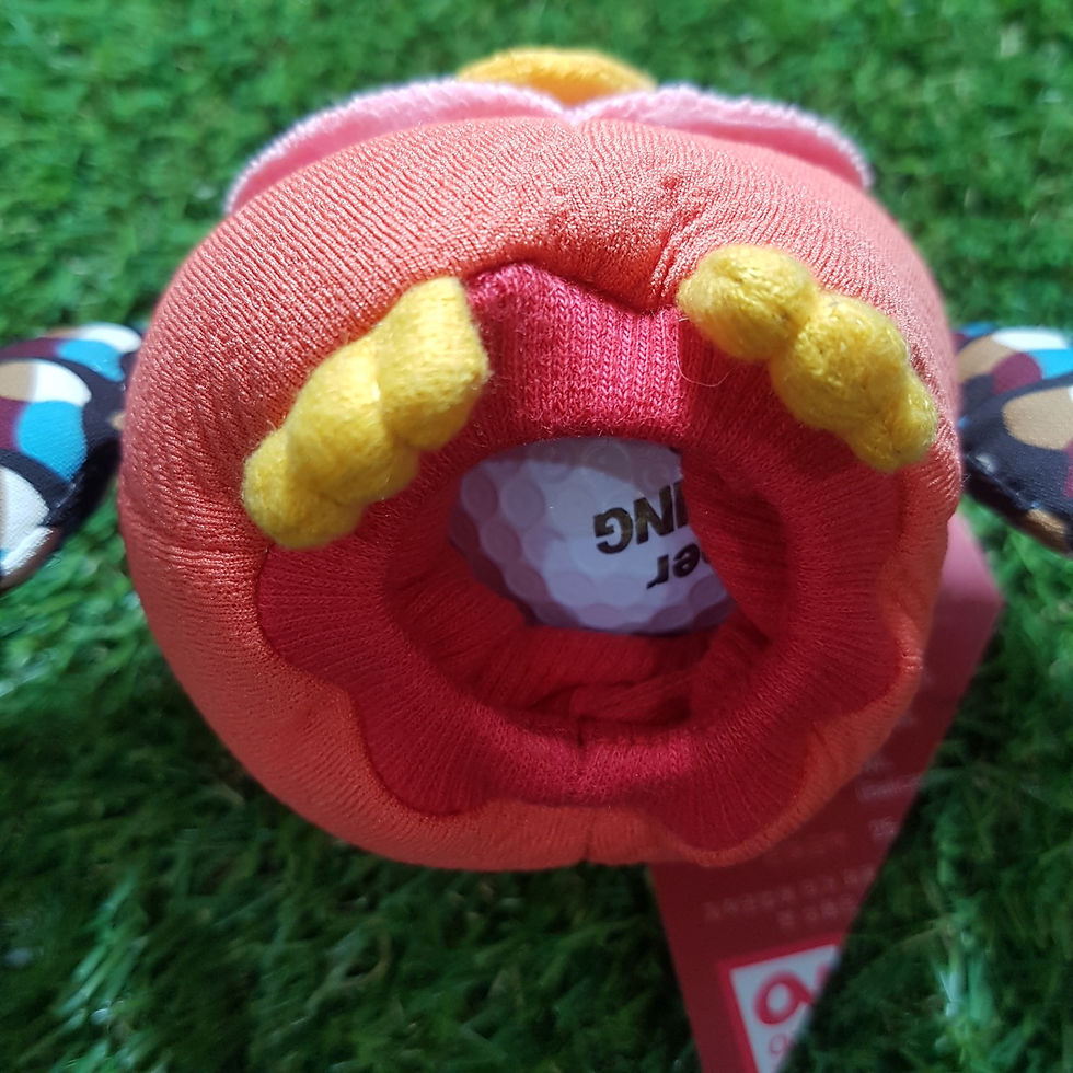 Thumbnail: Cute owl ball cleaning pocket