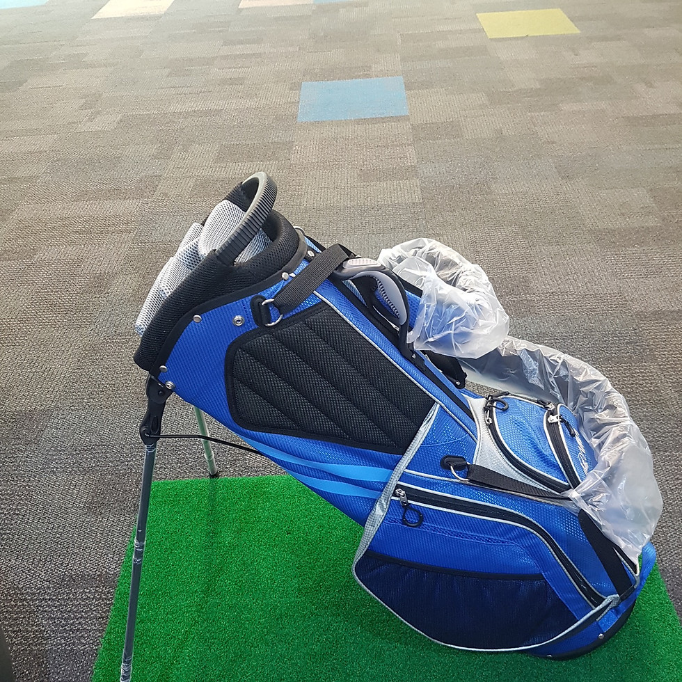 Thumbnail: Brand new Honma light weight double strap stand bag.
