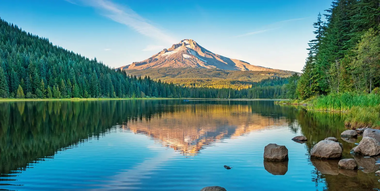 ORHeader1-1568x790.jpg.webp