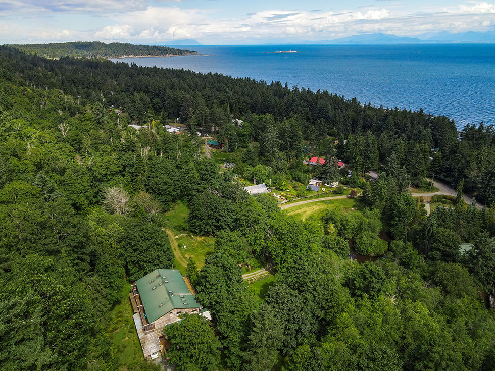 1597_Starbuck_Ln_Drone-_20210609_-_22.jpg