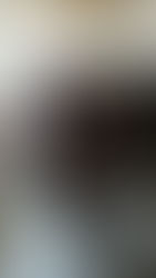 נפרטיטי - אופנה שכל אחת אוהבת ללבוש