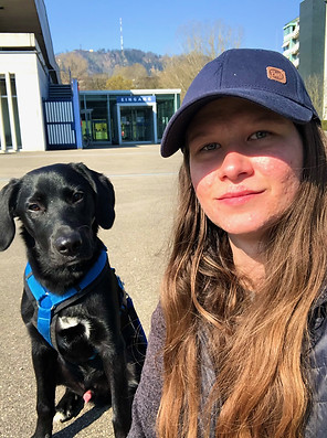 Assistenzhundeausbildung