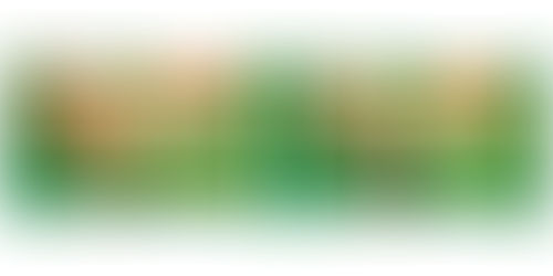 לחמית של אסם – טעמים חדשים