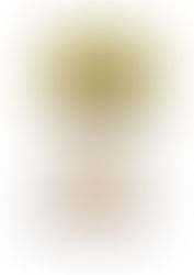 "הטחנות הגדולות של א"י" מכריזות בזה על קמח כוסמין מלא