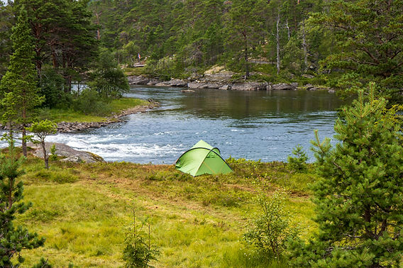 Wildcampen in Dnemark  erlaubt oder illegal?