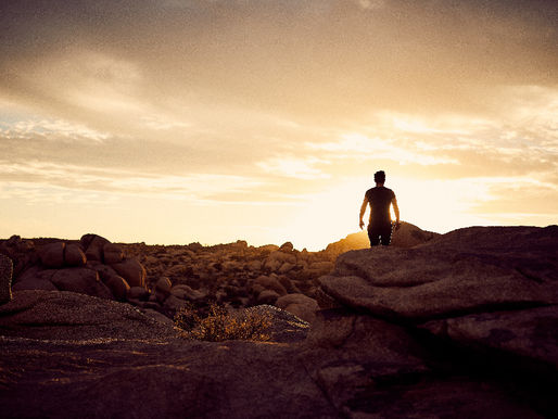 Ahnenarbeit: löse dein vererbtes Schicksal jetzt