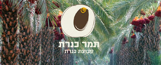 הסילאן הטבעי של תמר כנרת – היסטוריה בצנצנת