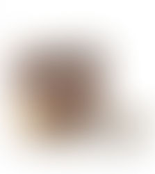 חברת "רפאל'ס" משיקה טראפלס תמרים - חטיף אנרגיה טעים, טבעי ובריא