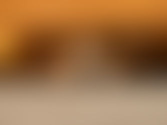 Ängstliche Hunde verstehen: Wenn Panik und Unsicherheit mehr als Training brauchen