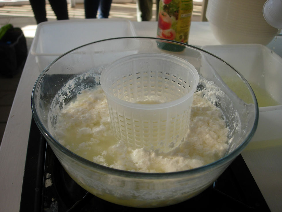 DSCN5164.JPG